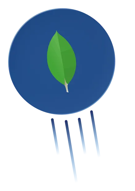 MongoDB